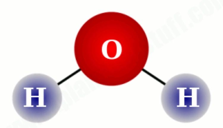 Water molecule